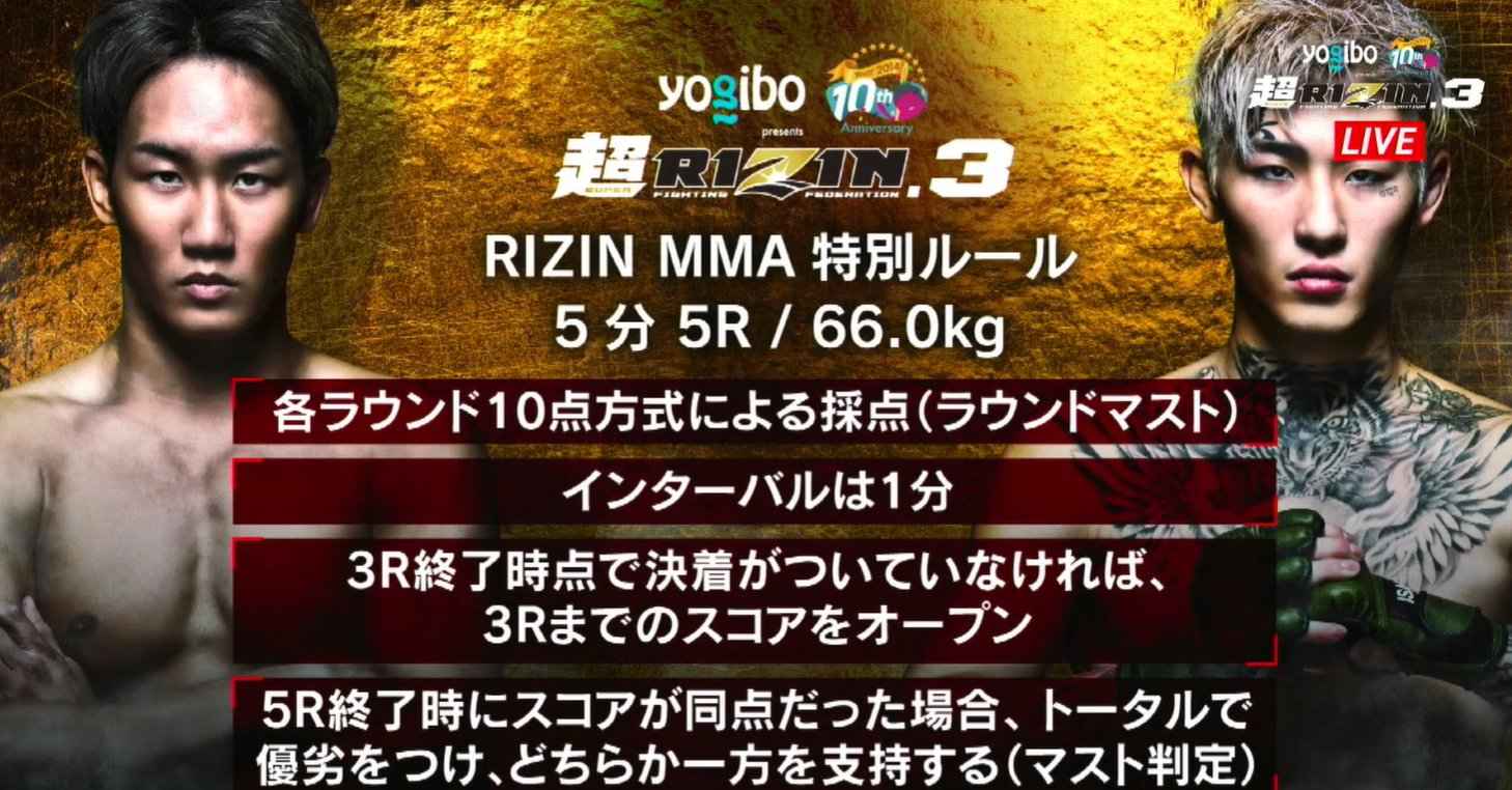 超RIZIN3 ルール