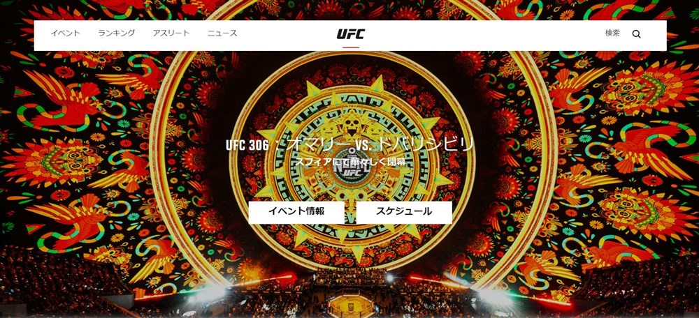 ビーベット　格闘技　UFC