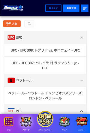 ビーベット　mma　大会